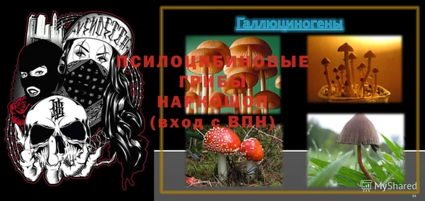 герыч Алзамай
