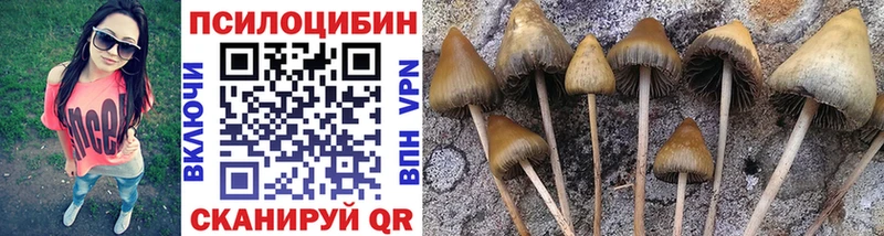 Псилоцибиновые грибы MAGIC MUSHROOMS  Купить где  Краснознаменск 